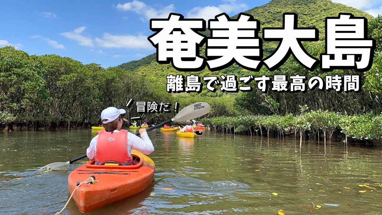 夏の奄美大島マングローブカヌー体験イメージ