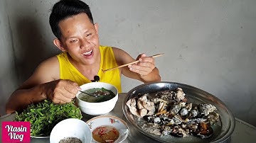 CÁ RÔ MỀ, CÁ LÓC, LƯƠN ĐỒNG NẤU CHÁO RAU ĐẮNG ĐẤT. YTASIN VLOG ,ĐẶC SẢN MIỀN BIÊN GIỚI.