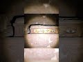 Ancient Egyptian Burial Chamber Filled with Royal Treasures #history #treasuresearching #adventure