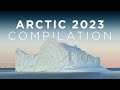 Arctic 2023 compilation