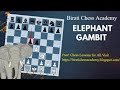 Chess Opening Elephant Gambit | Birati Chess Academy | No.1 Chess Academy in Town for Kids #chess