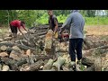WATCH BEFORE SOMETHING BREAKS | Stihl MS 361 Extreme Conditions