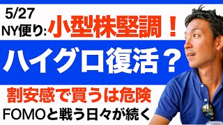 【米国株 5/27】ハイグロ復活か？小型株のリバウンドには注意！割安感で買う相場じゃない！