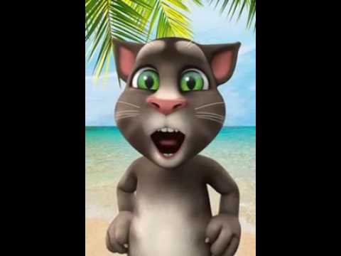 ههههههههههه الو