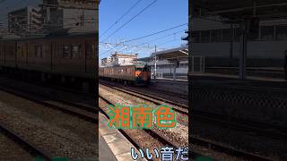 115系湘南色倉敷駅 #電車 #豆鉄 #鉄道 #train #jr #jr西日本 #湘南色