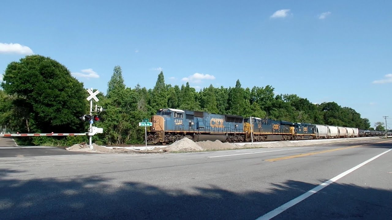 Long Mixed Freight Train