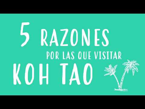 5 RAZONES POR