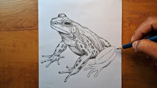 Frog Drawing Easy // Pencil Sketch For Beginners -Step by Step Drawing Tutorial