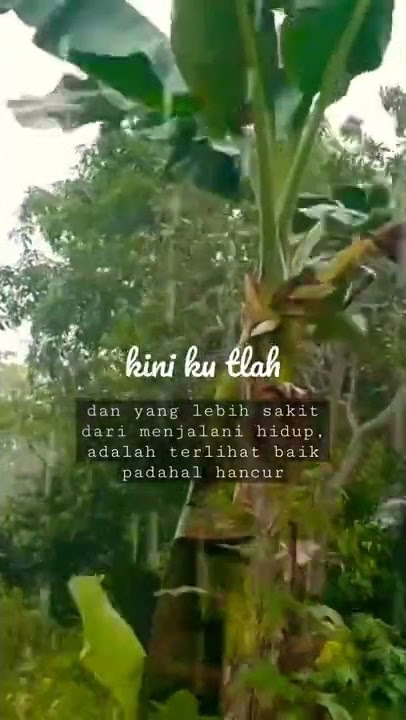 STORY WA TUKANG OJEK KANGEN MANTAN