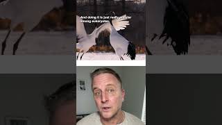 There Was A Time Before Mating Was A Thing