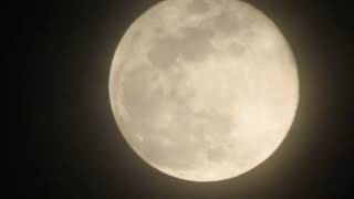 November full moon For full moon phase Of lunar cycle