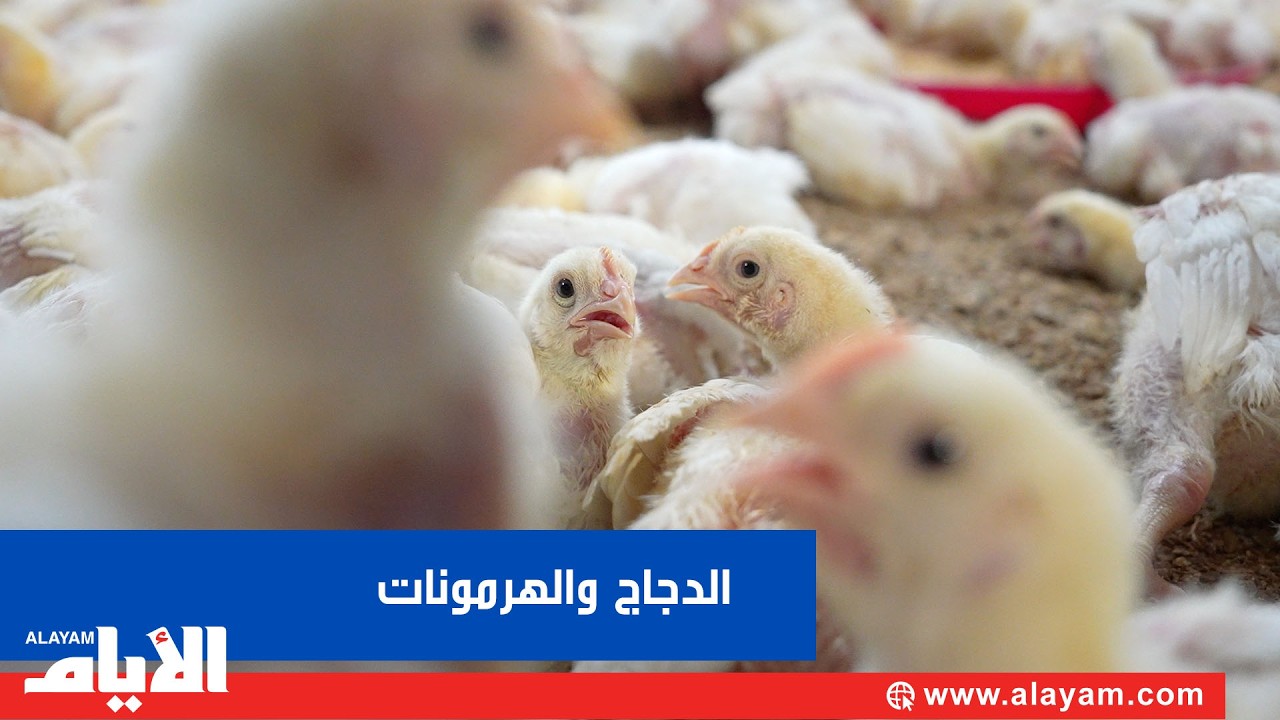 �� ���� ������ ���������ʿ
 - نشر قبل 22 دقيقة