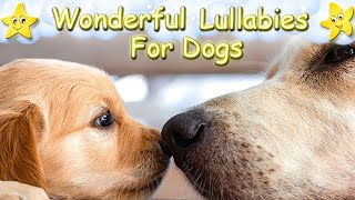 Super Relaxing Sleep Music For Dogs And Puppies ♫ Calm Your Dog