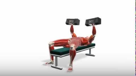 Exercise Videos- PowerBlock Bench Press Restricted ROM