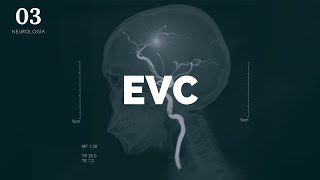 EVC - ENARM