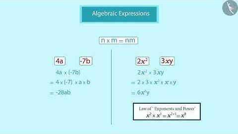 Multiplication of algebraic expressions | Part 1/3 | English | Class 8