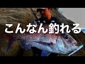【BlueBlue】一つだけでいいから持ち歩いて！今めちゃ釣れるしハマってるルアーを紹介！