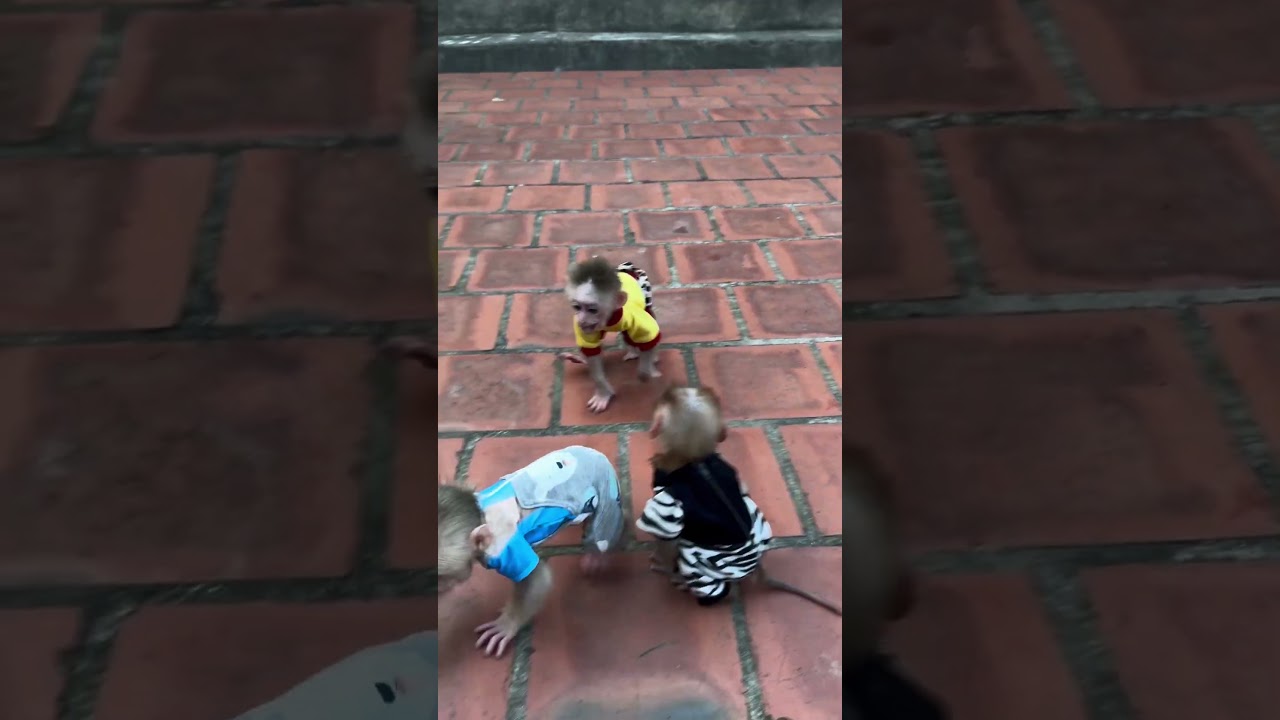 Kevin ran away making Kimi angry.