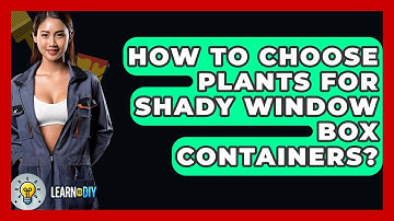 How To Choose Plants For Shady Window Box Containers? - LearnToDIY360.com