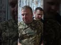 Охота на лося / готовим печень добытого бычка / а о том, как это было смотрите по ссылке в описании