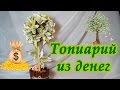 Очень красивый топиарий из денег. Подарок на 23 февраля.