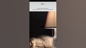 Islamic short videos Motivational clips Quran Sunnah se related content.Follow for daily Deeni vibes