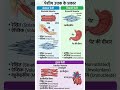 पेशीय ऊतक के प्रकार | Skeletal, Smooth & Cardiac Muscle |#cgvyapam #labattendant #sikhakbharti
