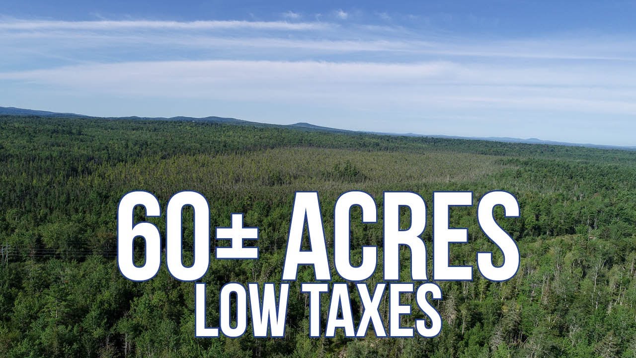 39,900 Private 60± Acres With Low Taxes Maine Real Estate SOLD YouTube