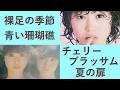 松田聖子の4曲・その1