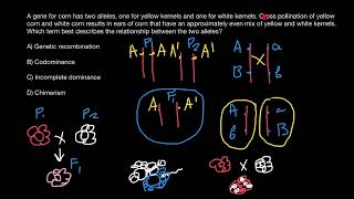 Chimerism | Incomplete dominance | Codominance | Recombination