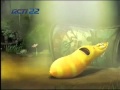 Youtube Thumbnail title
