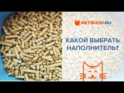 Какой наполнитель лучше? Наполнители для кошачьего туалета