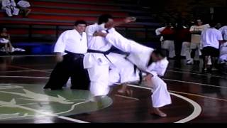 Lyoto Machida Karate best Ippon