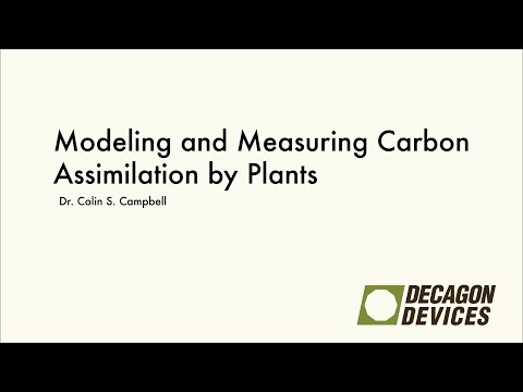 Video: Jaký je první stabilní produkt asimilace uhlíku?