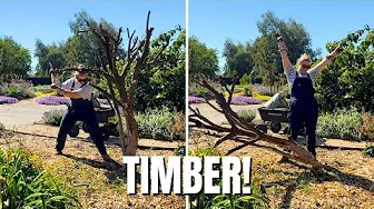 🪓 A VERY Productive Day in the Garden! 🪓