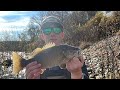 How to clean/maintain any baitcasting reel