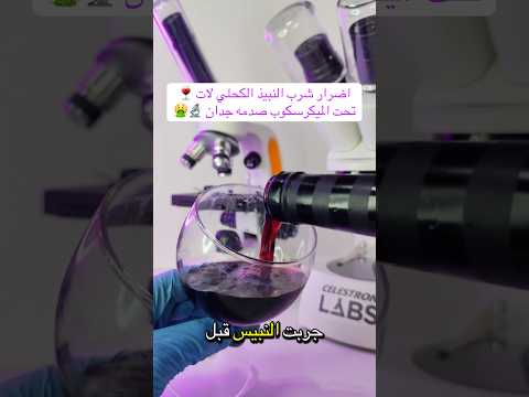 ده اخطر نوع النبيذ الأحمر اكسبلور شورت ترند      