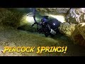Peacock Springs Cave Dive (Can we make it to Olsen Sink?)