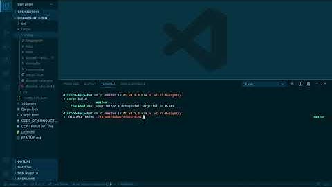 Discord Bot with Rust and Serenity - #11 Run Locally
