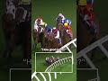 My goodness, Sepoy! 🤤