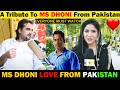 A tribute to MS Dhoni ( From Pakistan ) | Pakistan Reaction on MS DHONI Retirement | Public Reaction