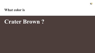 Crater Brown color #4d3e3c hex color - Brown color - Cool color 4d3e3c