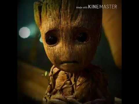 حالات واتس اب كدابين الزفه يابا