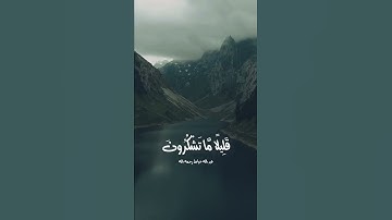 تلاوه خاشعه عبدالله خياط
