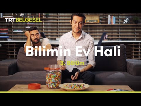 Bilimin Ev Hali | Beynimiz Nasıl Algılar? | TRT Belgesel