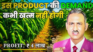 Chilli Export From India | Green Chilli Export From India | rajeevsaini | Import Export Business