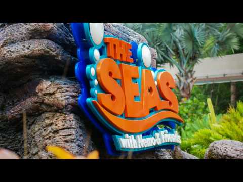 EPCOT | The Seas with Nemo & Friends | BGM Loop