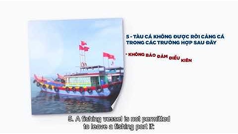 Các quy định chủ tàu và ngư dân cần ghi nhớ trước khi ra khơi và cập cảng