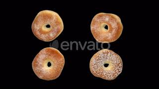 Different Donuts with Alpha Chanel | Motion Graphics - Envato elements