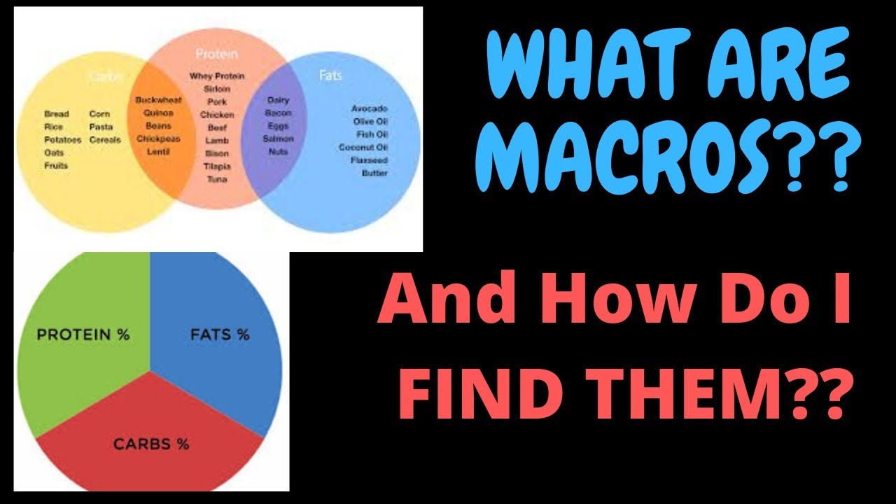 What Are Macros? - YouTube
